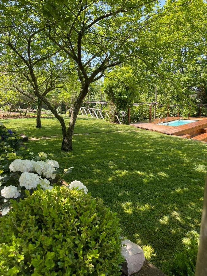 Villa Spartano Sant'Agata Sui Due Golfi Massalubrense Massa Lubrense Exteriér fotografie
